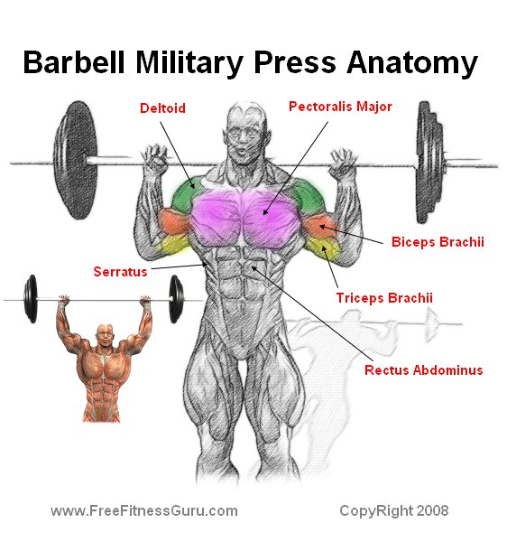 Barbell military store press